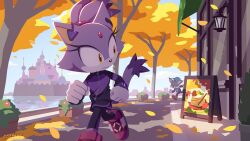 blaze the cat from sonic (series)