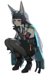 hoshimi miyabi from zenless zone zero by ohkurrva