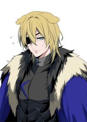 dimitri alexandre blaiddyd from fire emblem