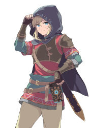 link from the legend of zelda by rasahan