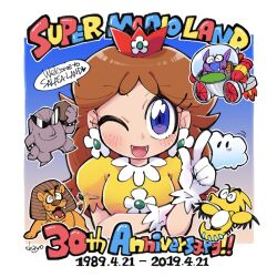 princess daisy from super mario bros. by chiyo (shuten dj)