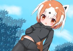 kemono friends fan art