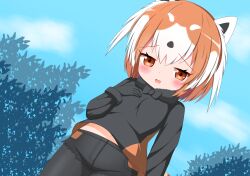 kemono friends fan art