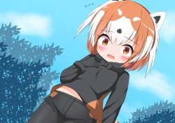 kemono friends fan art