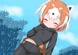 kemono friends fan art