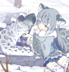 kemono friends fan art
