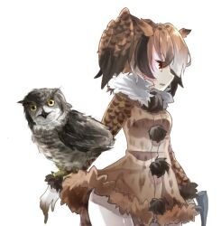 eurasian eagle owl (kemono friends) from kemono friends by shinjitsu no kuchi