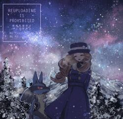 lucario from pokemon