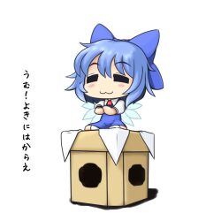 cirno from touhou by musashino udon