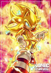 sonic the hedgehog from sonic (series)