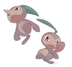 nuzleaf from pokemon