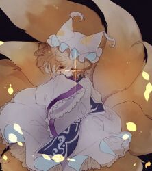 yakumo ran from touhou by shinjitsu no kuchi