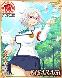 kisaragi (senran kagura) from senran kagura