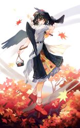 shameimaru aya from touhou