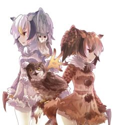 eurasian eagle owl (kemono friends) from kemono friends by shinjitsu no kuchi