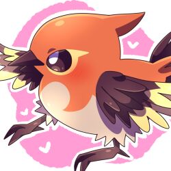 fletchinder from pokemon