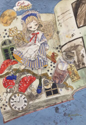 alice (alice in wonderland) from alice's adventures in wonderland
