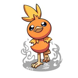 torchic from pokemon