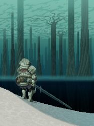 siegmeyer of catarina from dark souls (series)