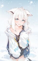 shirakami fubuki from hololive by hyde (tabakko)