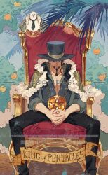 hattori (one piece) from one piece