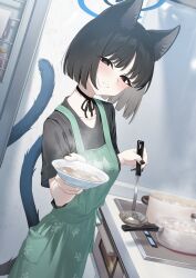 kikyou (blue archive) from blue archive