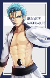 grimmjow jaegerjaquez from bleach