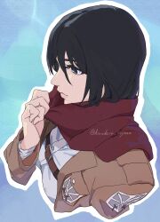 mikasa ackerman from shingeki no kyojin