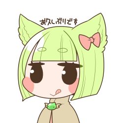 acolyte (ragnarok online) from ragnarok online