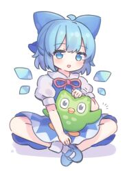 cirno from touhou by coa (chroo x)