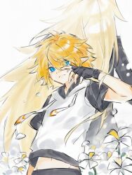 king (aotu world) from aotu world