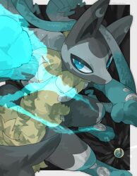 lucario from pokemon