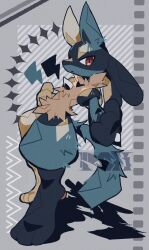 lucario from pokemon