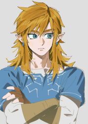 link from the legend of zelda