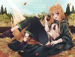 holo from spice and wolf