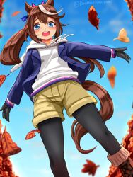 tokai teio (umamusume) from umamusume