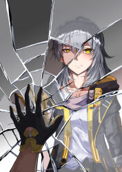 caelus (honkai: star rail) from honkai: star rail