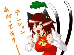 chen from touhou by taiga isaka