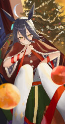 manhattan cafe (umamusume) from umamusume