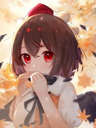shameimaru aya from touhou