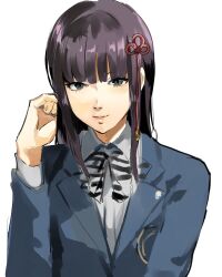 tougou hifumi from persona