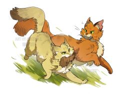 firestar (warrior cats) from the prophecies begin