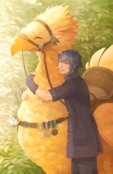 chocobo from final fantasy