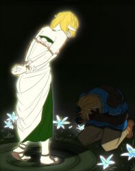 link from the legend of zelda
