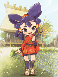 sakuna-hime from tensui no sakuna-hime by kiichi
