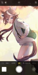 tokai teio (umamusume) from umamusume