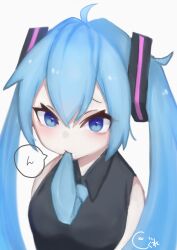 hatsune miku from vocaloid