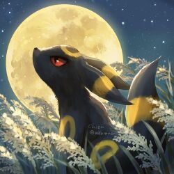 umbreon from pokemon