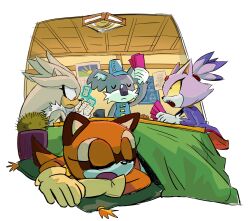 blaze the cat from sonic (series)