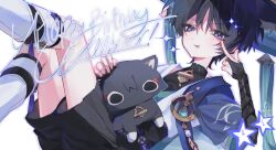 scaramouche (cat) (genshin impact) from genshin impact